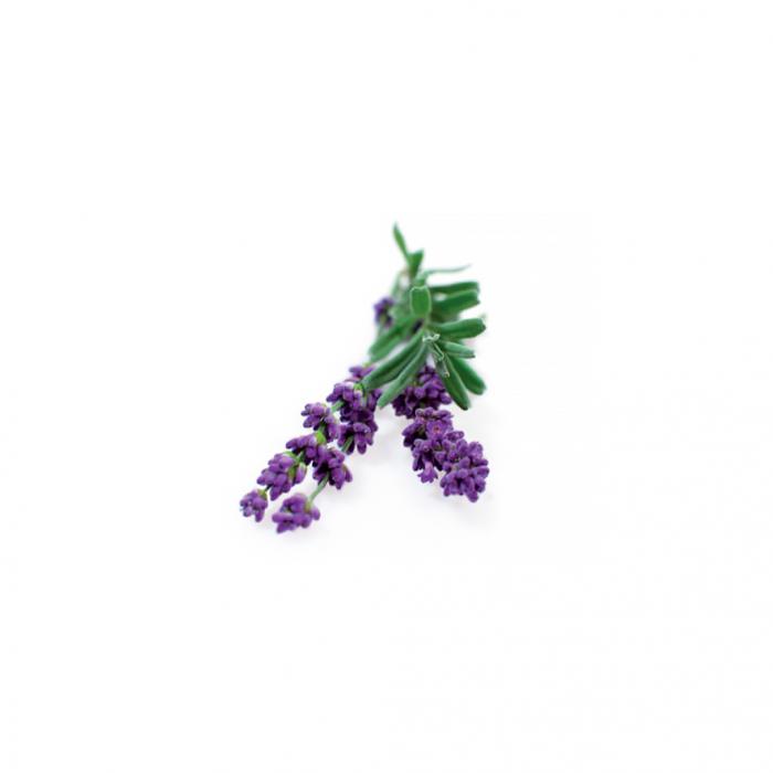 UTGATT1 - Click and Grow Smart Garden Refill 3-pack - Lavendel