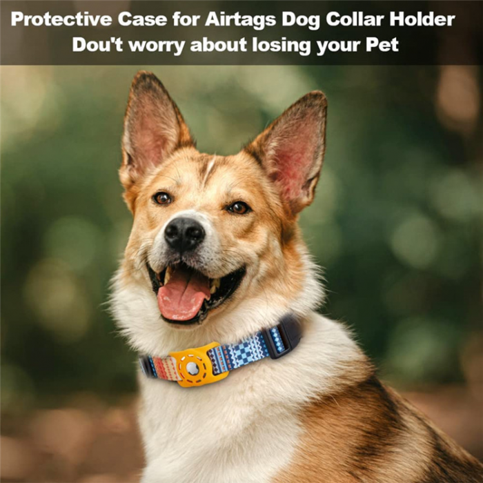 A-One Brand - Airtag Skal Digital Printing Pets Collar Cross Border - Orange