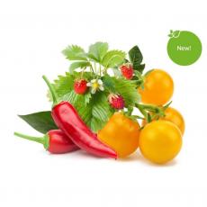 Click and Grow - Click and Grow Smart Garden Refill 9-pack Frukt och grönsaksmix