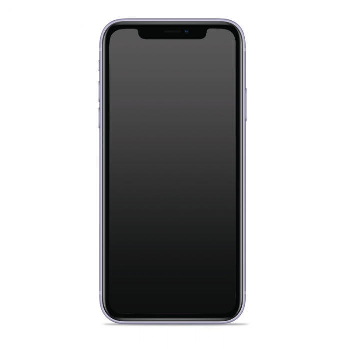 UTGATT1 - Puro Nude iPhone 12 Pro Max Skal - Transparent