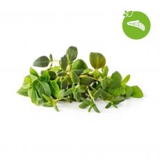 Click and Grow - Click and Grow Smart Garden Refill 9-pack Italienska örter