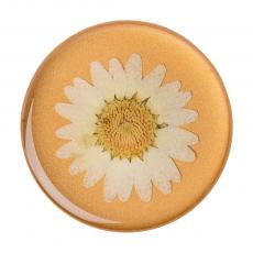 PopSockets - POPSOCKETS Pressed Flower White Daisy Avtagbart Grip