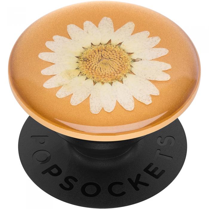 PopSockets - POPSOCKETS Pressed Flower White Daisy Avtagbart Grip