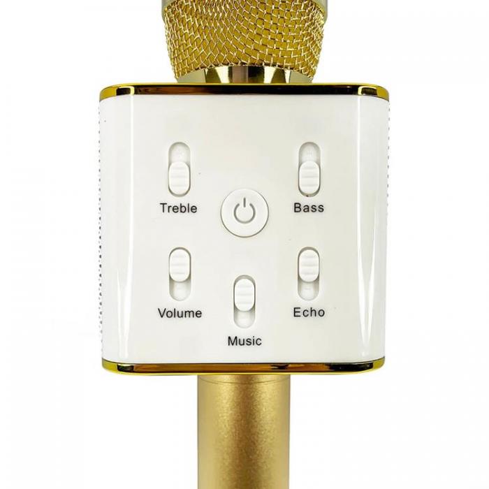 UTGATT1 - RAINBOW HIGH Karaoke Mikrofon