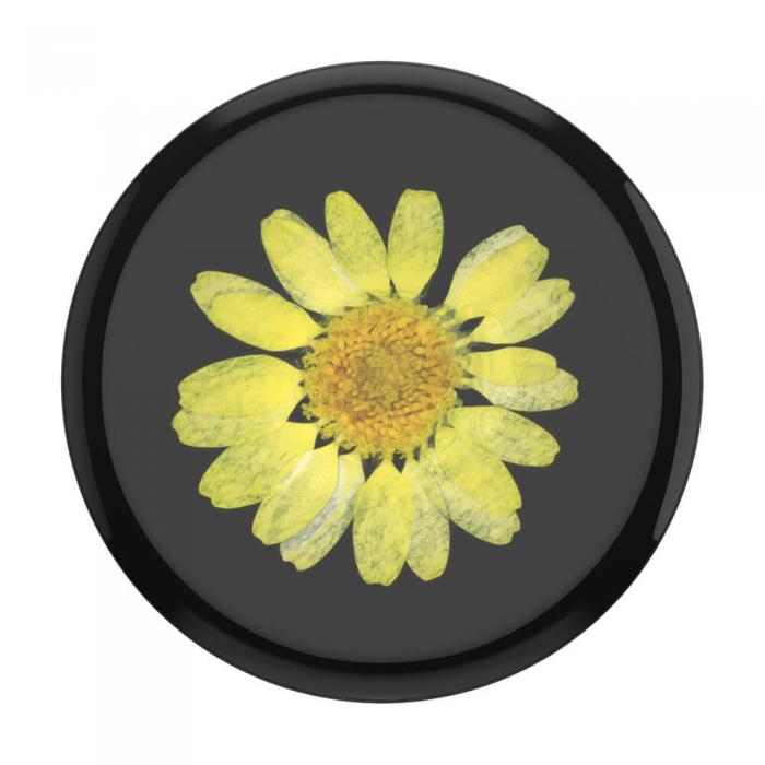 UTGATT5 - POPSOCKETS Pressed Flower Yellow Daisy Avtagbart Grip