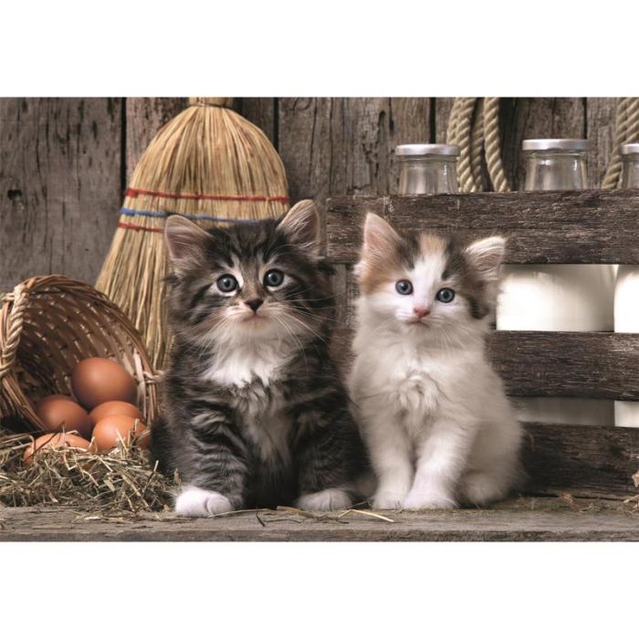 CLEMENTONI - CLEMENTONI Pussel 1000 Pcs CB High Quality Collection Lovely Kittens
