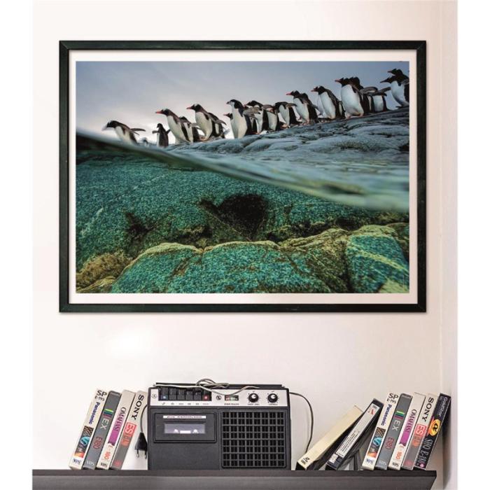 CLEMENTONI - CLEMENTONI Pussel 1000 Pcs CB High Quality Collection Penguins