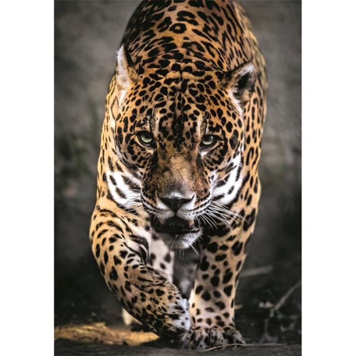 CLEMENTONI - CLEMENTONI Pussel 1000 Pcs CB High Quality Collection Walk Of The Jaguar