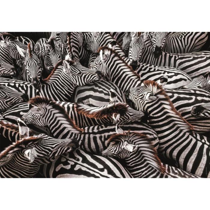 CLEMENTONI - CLEMENTONI Pussel 1000 Pcs CB High Quality Collection Zebra