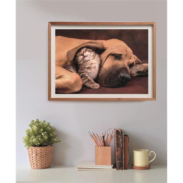 CLEMENTONI - CLEMENTONI Pussel 500 Pcs CB High Quality Collection Cuddles