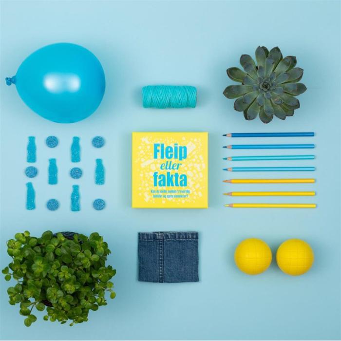 KYLSKPOESI - KYLSKPOESI Spel Fleip eller Fakta (NO)