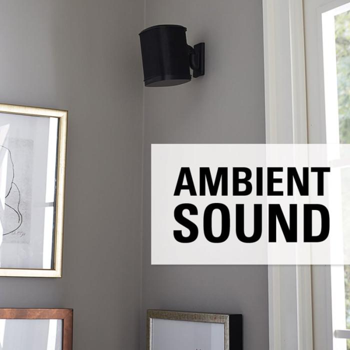 Sanus - SANUS Väggfäste för Sonos One SL Play:1 Play:3 Par Svart