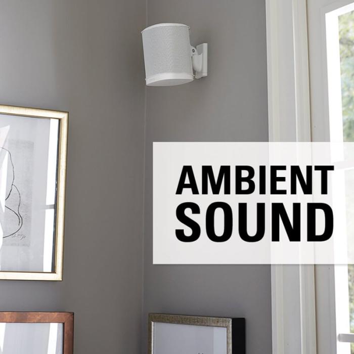 Sanus - SANUS Väggfäste för Sonos One SL Play:1 Play:3 Par Vit