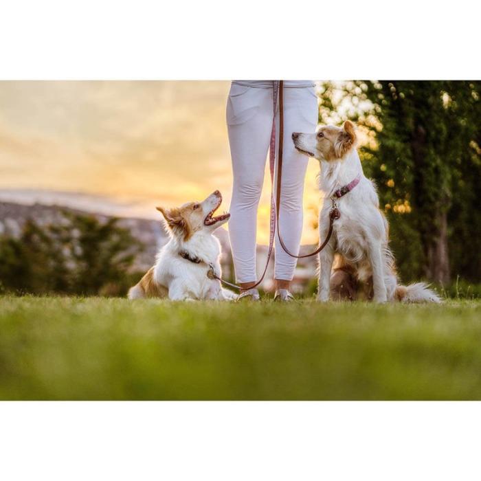 Tickless - TICKLESS Fästingskydd ECOPET