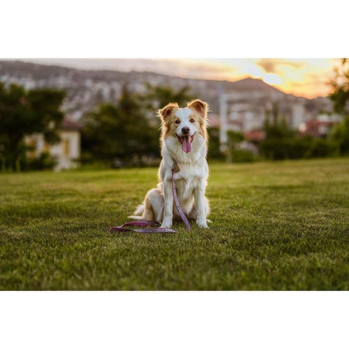 Tickless - TICKLESS Fästingskydd ECOPET