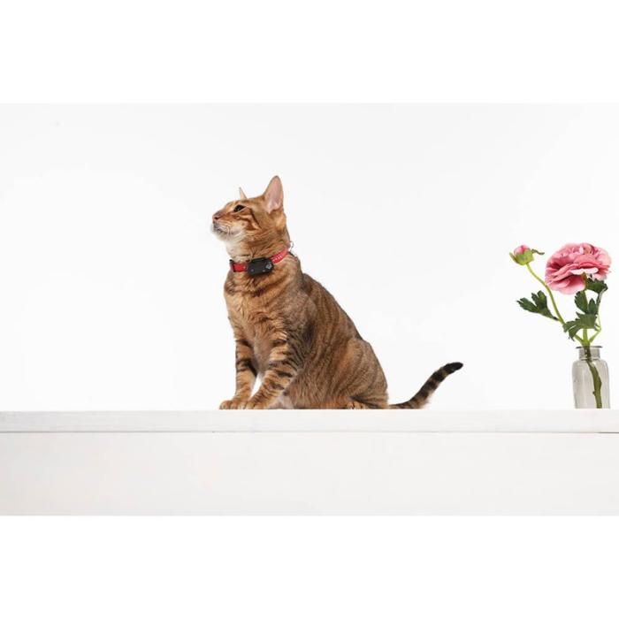 Tickless - TICKLESS Fästingskydd Mini Katt