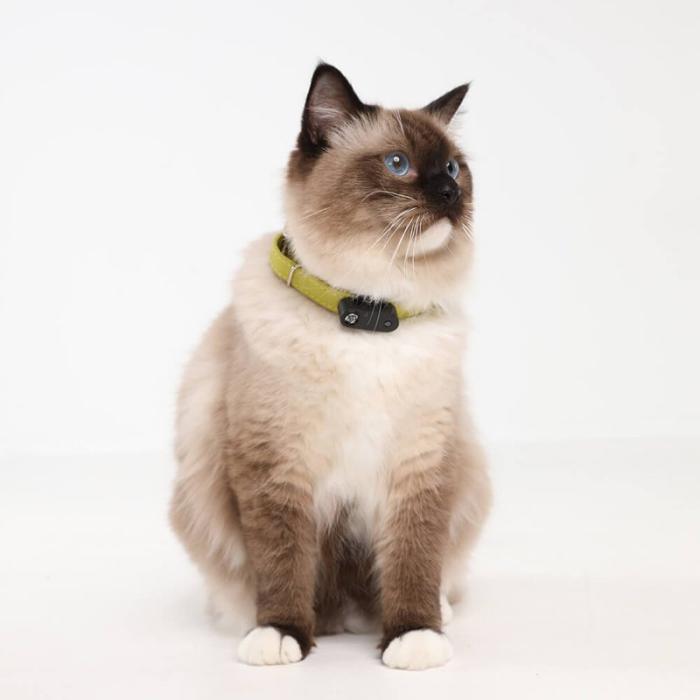 Tickless - TICKLESS Fästingskydd Mini Katt