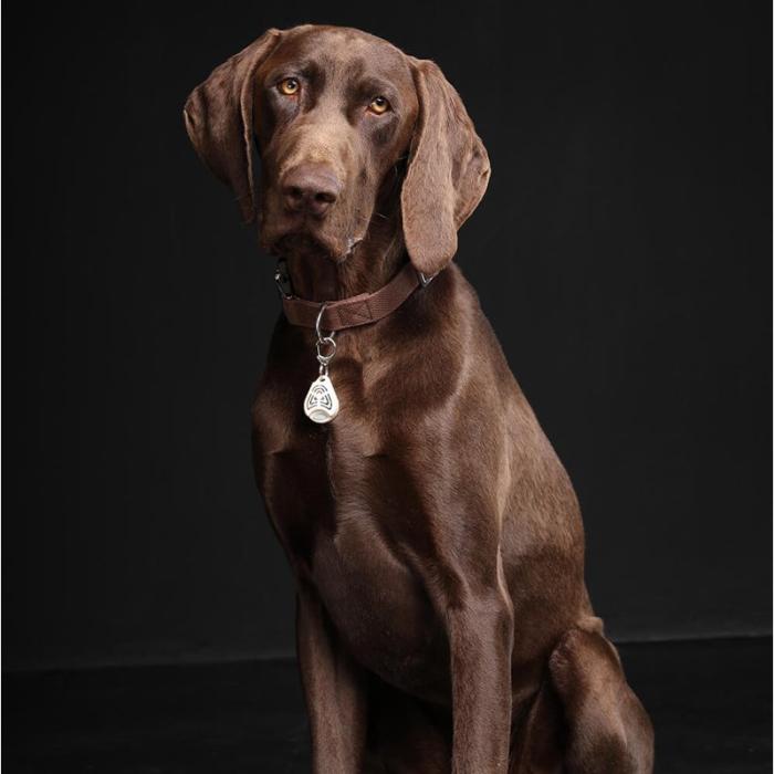 Tickless - TICKLESS Fästingskydd Pet Beige