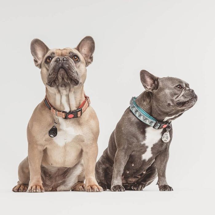 Tickless - TICKLESS Fästingskydd Pet Beige