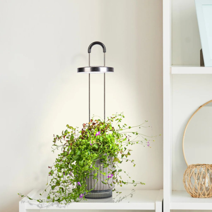 Click and Grow - Click & Grow x HydroVase - Grå