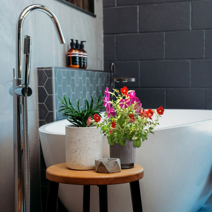 Click and Grow - Click & Grow x HydroVase - Grå