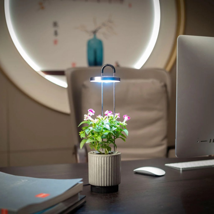 Click and Grow - Click & Grow x HydroVase - Grå