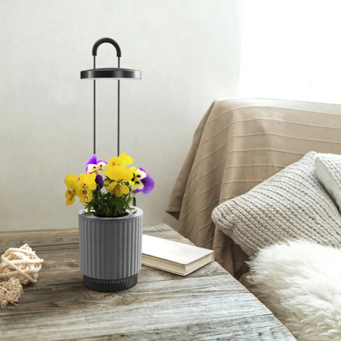 Click and Grow - Click & Grow x HydroVase - Grå