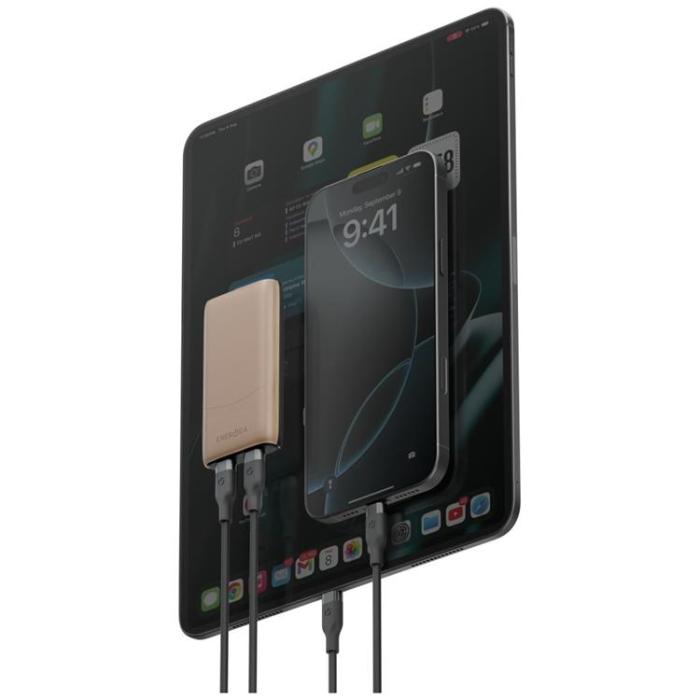 ENERGEA - Energea Snabbladdare 65W 2xUSB-C 3.0 (US/UK/EU) TravelWorld Edge - Guld