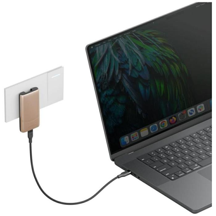 ENERGEA - Energea Snabbladdare 65W 2xUSB-C 3.0 (US/UK/EU) TravelWorld Edge - Guld