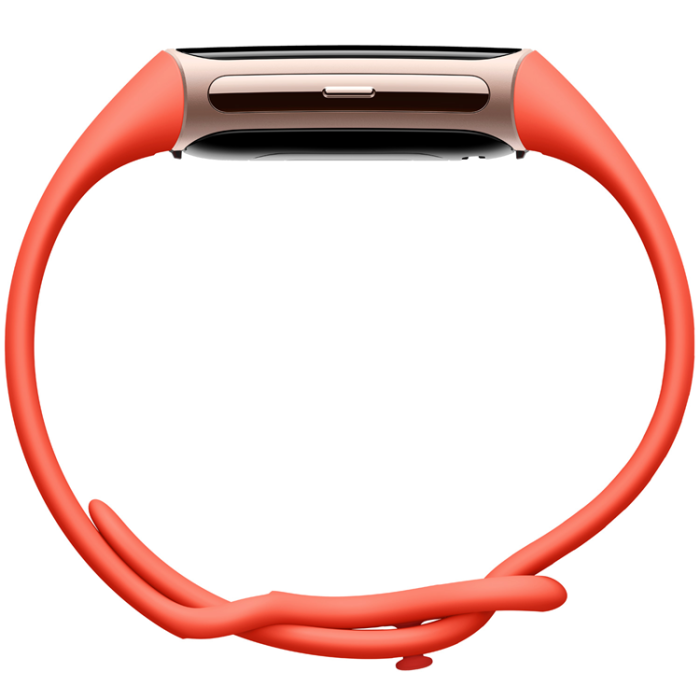 Fitbit - FITBIT Charge 6 Champagne Gold Aluminum Case