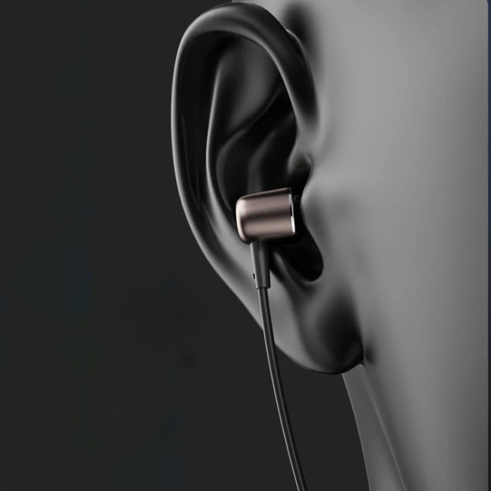 Dudao - Dudao X1PROT In-Ear Hörlurar Anslutna USB-C Kabel 1.2 m - Svart