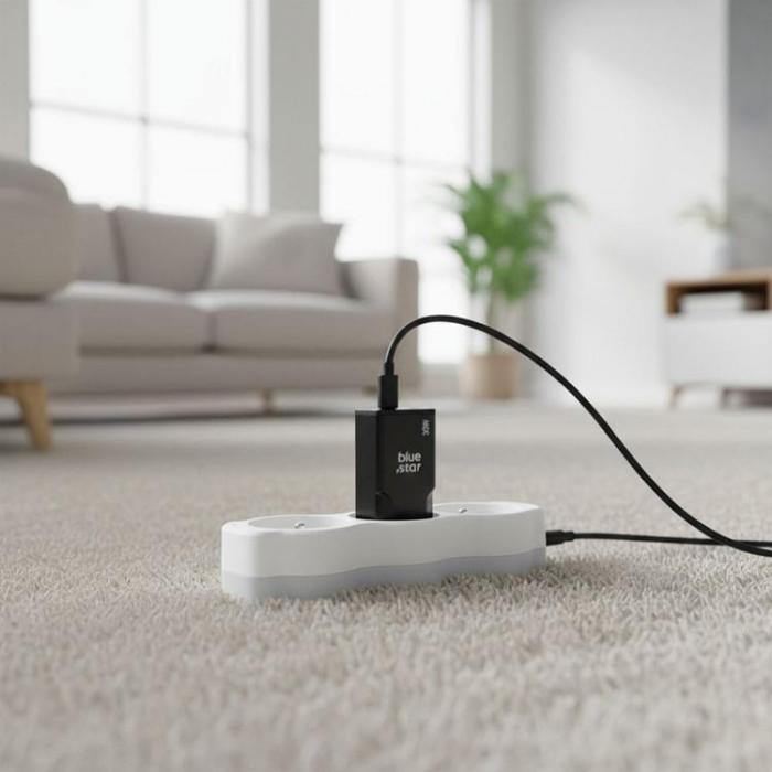 Blue Star - Blue Star Snabbladdare PD 30W 2xUSB-C GaN QC4.0 3A - Svart