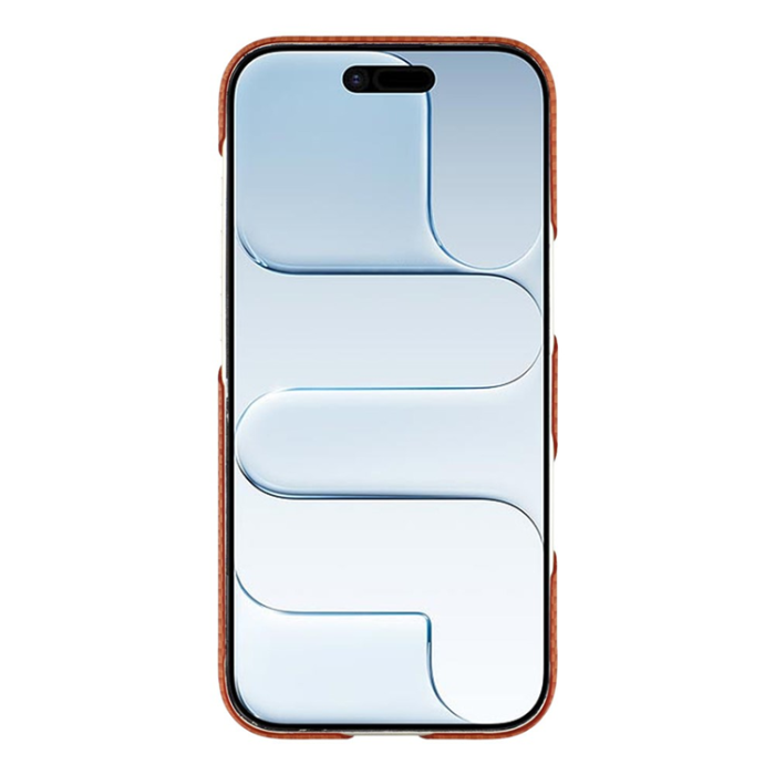 A-One Brand - iPhone Air Mobilskal MagSafe Carbon Fiber