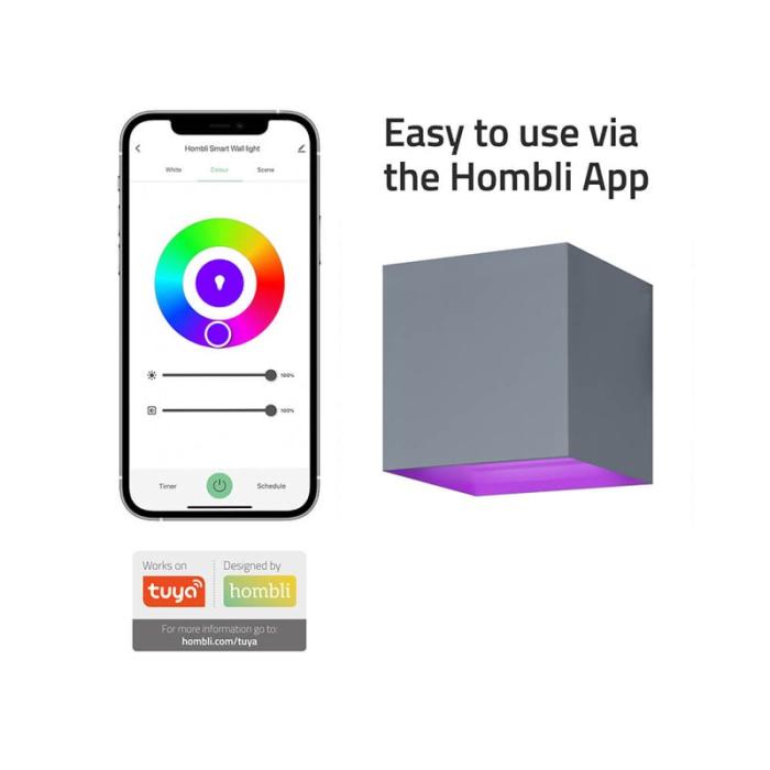 HOMBLI - HOMBLI Smart Vägglampa Inomhus och Utomhus RGB CCT Grå