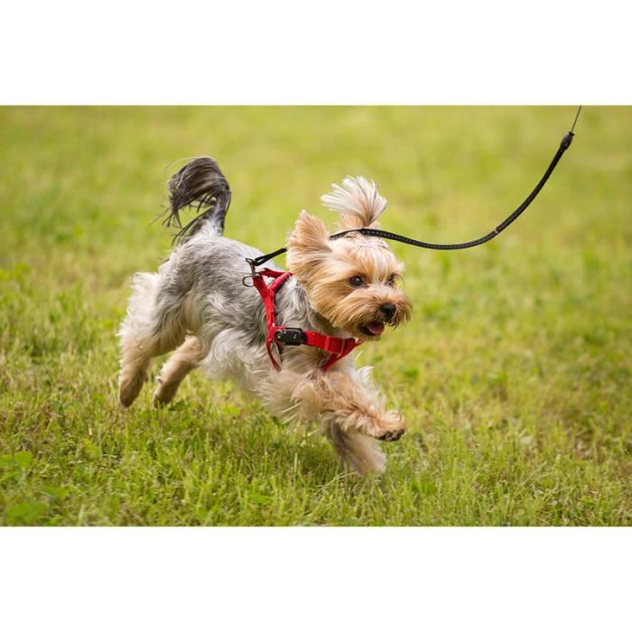 Tickless - TICKLESS Fästingskydd Mini Hund