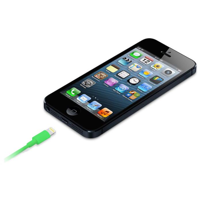 UTGATT5 - Naztech Apple Certified Lightning 8-Pin Charge and Sync Cable - (Grön)