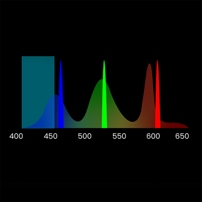 Yaber - Yaber Multimediaprojektor Laser RGB med JBL-högtalare - Svart