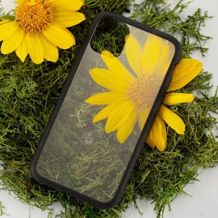 Pela - Pela Clear - Miljövänligt iPhone 11 Pro case