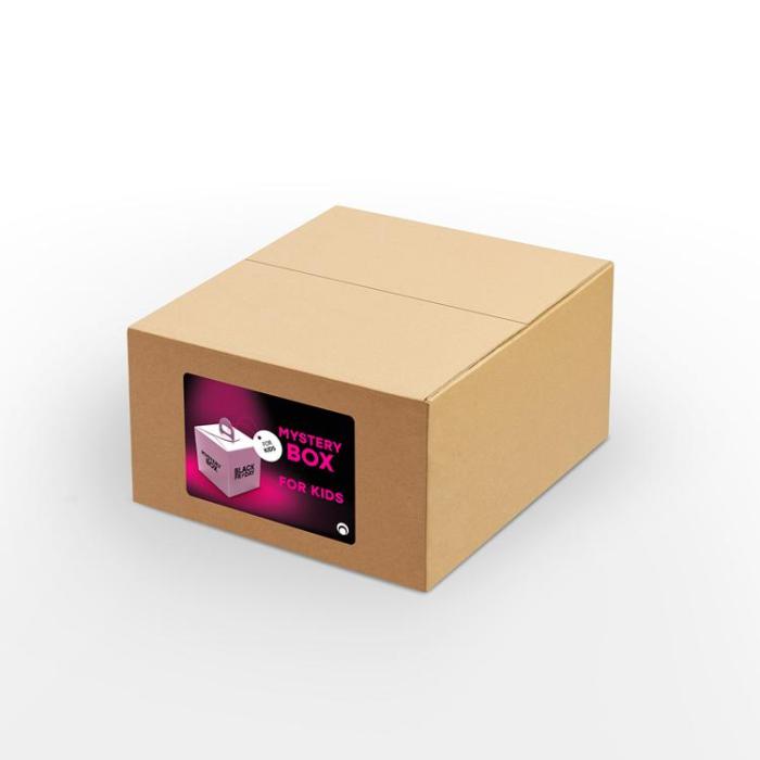 OEM - Mystery BOX Kids