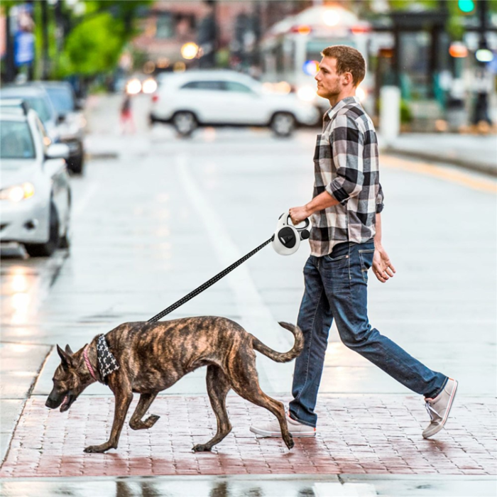 OEM - Automatiskt Indragbart Koppel för Hund/Husdjur, 5m med LED Lampa