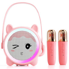 OEM - Tecknad Barnkaraoke Högtalare med 2xMikrofoner Set K12 - Rosa katt