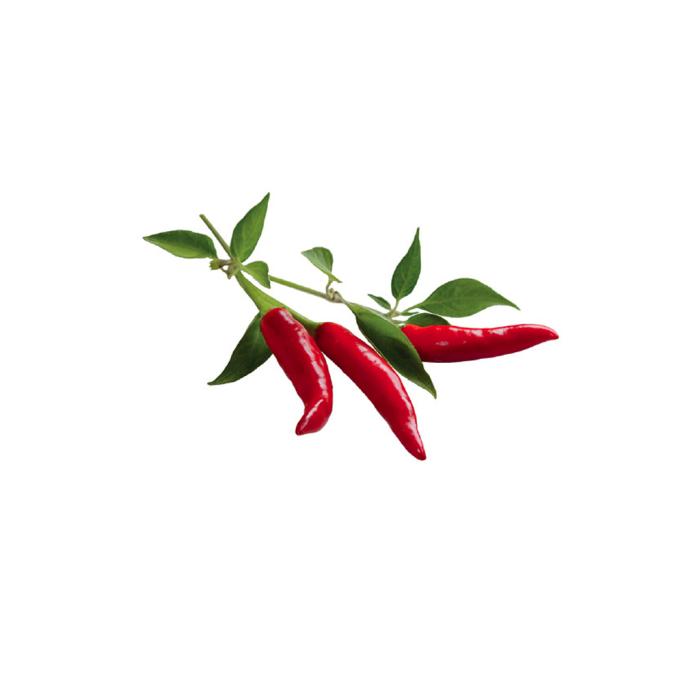 Click and Grow - Click and Grow Smart Garden Refill 3-pack - Chilipeppar