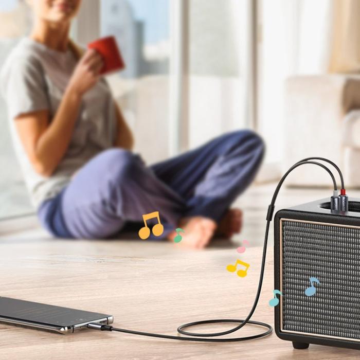 Ugreen - Ugreen Audio Kabel USB-C Hane 2RCA Hane 1.5m - Grå