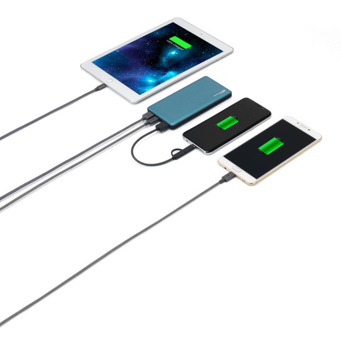 UTGATT4 - GP PowerBank Voyage 2.0 10000 Pet