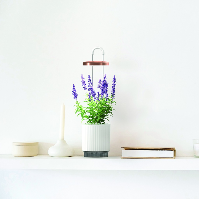 Click and Grow - Click & Grow x HydroVase - Vit