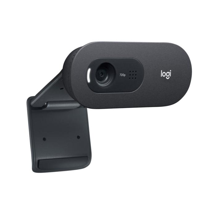 OEM - Logitech C505e HD 720p Business webbkamera - Svart