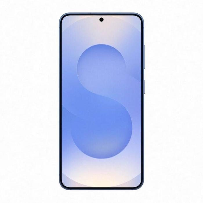 Samsung - Samsung Galaxy S25 SM-S931B 12GB/256GB