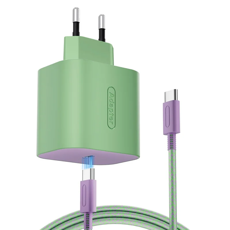 60W Snabbladdare För Nintendo Switch 2/Lite/OLED Spelkonsol Typ-C | 505295 | AlltMobil