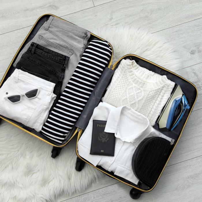 BLACK+DECK - BLACK+DECK Resestrykjärn Travel Iron 1000W