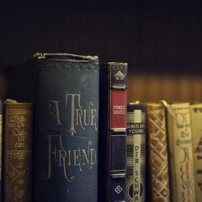 Twelve South - Twelve South iPad mini 6 2021 Fodral - Brun